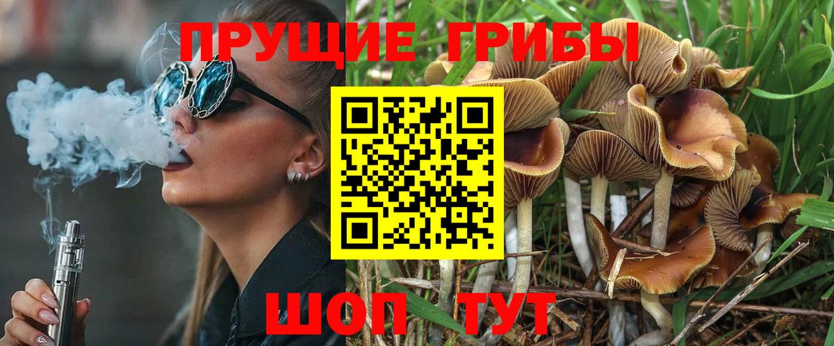 Псилоцибиновые грибы MAGIC MUSHROOMS Самара